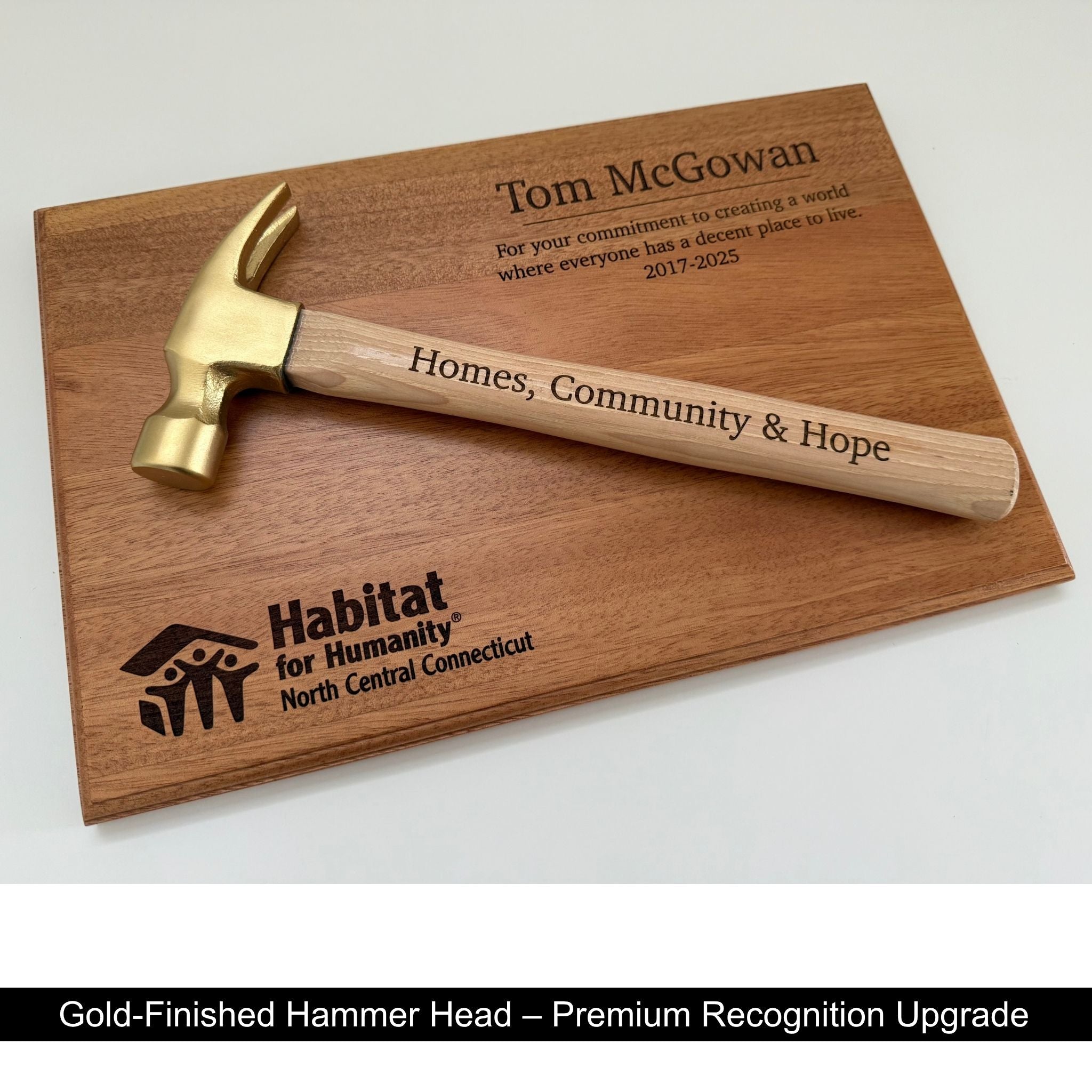 Golden Hammer Plaque Award